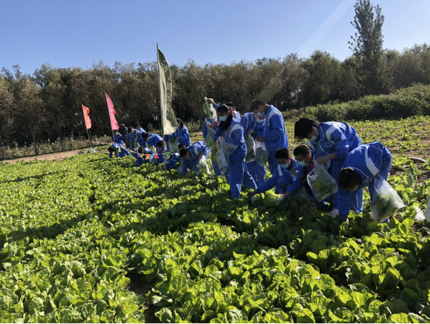 天津市富力中学图片