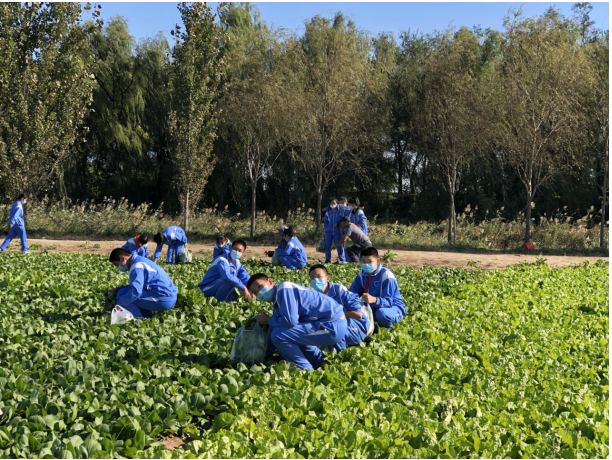 天津市富力中学图片